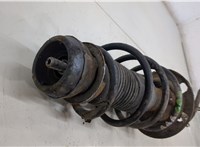 Амортизатор подвески Skoda Rapid 20422730 #2