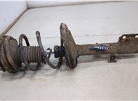 Амортизатор подвески Toyota RAV 4 2000-2005 20422807 #1
