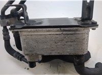  Теплообменник Audi A8 (D3) 2002-2010 20423491 #4