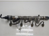  Рампа (рейка) топливная Volkswagen Amarok 2010-2025 20423943 #1