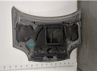  Капот Nissan X-Trail (T30) 2001-2006 20424566 #6