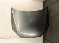  Капот Audi Q7 2005-2015 20424725 #1
