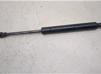  Амортизатор капота BMW X5 E53 2000-2006 20424853 #1
