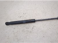  Амортизатор капота Land Rover Range Rover Evoque 2011-2018 20424867 #1