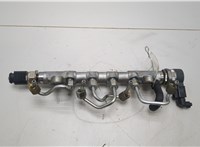  Рампа (рейка) топливная Skoda Yeti 2009-2018 20425222 #1