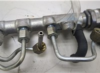  Рампа (рейка) топливная Skoda Yeti 2009-2018 20425222 #3