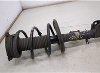  Амортизатор подвески Nissan Murano 2014- 20425583 #1