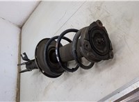  Амортизатор подвески Nissan Murano 2014- 20425583 #3