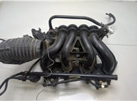  Коллектор впускной Ford Fiesta 2001-2007 20425611 #1