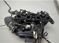  Коллектор впускной Ford Fiesta 2001-2007 20425611 #3