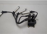  Катушка зажигания Ford Fiesta 2001-2007 20425613 #1
