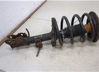  Амортизатор подвески Nissan Murano 2002-2008 20425700 #2