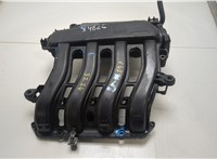  Коллектор впускной Renault Clio 2005-2009 20425807 #1
