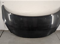  Капот Peugeot 207 20425568 #1