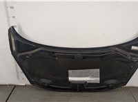  Капот Peugeot 207 20425568 #7