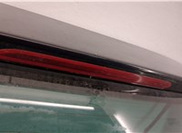  Подсветка номера Volkswagen Passat 6 2005-2010 11407555 #9