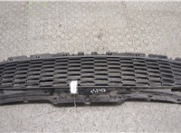  Решетка радиатора Mini Cooper (R56/R57) 2006-2013 20427069 #1
