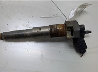 13537792721, 13537809193 Форсунка топливная BMW 7 E65 2001-2008 20427883 #1