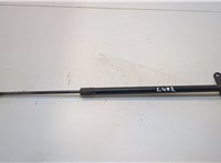  Амортизатор крышки багажника BMW X3 F25 2010-2017 20427931 #1