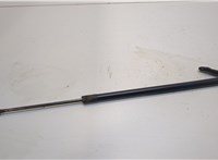  Амортизатор крышки багажника BMW X3 F25 2010-2017 20427932 #1