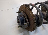  Амортизатор подвески Nissan Murano 2002-2008 20427983 #2