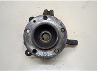  Ступица (кулак, цапфа) Opel Movano 1998-2010 20428621 #1