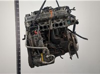  Двигатель (ДВС) Nissan Almera N16 2000-2006 20428643 #8