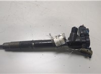  Форсунка топливная Skoda Octavia (A7) 2013-2023 20428679 #1