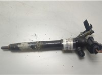 Форсунка топливная Skoda Octavia (A7) 2013-2023 20428680 #1