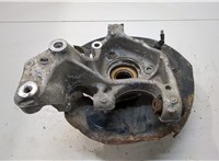  Ступица (кулак, цапфа) Volkswagen Tiguan 2016-2020 20428857 #1