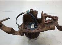  Ступица (кулак, цапфа) Ford Escape 2012-2015 20429003 #1