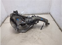 31226867808, 31216869869, 34106895049, 6867808 Ступица (кулак, цапфа) BMW X5 E70 2006-2013 20429048 #4