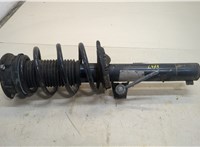  Амортизатор подвески Volkswagen Tiguan 2016-2020 20429133 #1