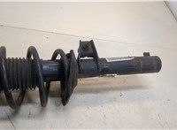  Амортизатор подвески Volkswagen Tiguan 2016-2020 20429133 #5