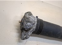  Амортизатор подвески Volkswagen Tiguan 2016-2020 20429370 #2