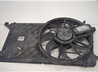  Вентилятор радиатора Ford C-Max 2002-2010 20429414 #1