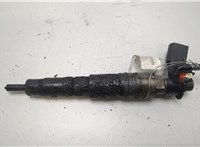 13537792721, 13537809193 Форсунка топливная BMW X3 E83 2003-2010 20429694 #1