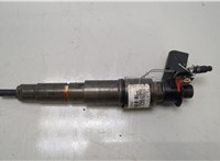 13537792721, 13537809193 Форсунка топливная BMW X3 E83 2003-2010 20429696 #1