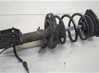  Амортизатор подвески Renault Megane 3 2009-2016 20429910 #1
