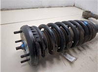 C2Z5526, 8X2318045AB, C2Z5521, 8X235310BB Амортизатор подвески Jaguar XF 2007-2015 20430168 #14