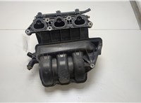  Коллектор впускной Volkswagen Polo 2005-2009 20431146 #4