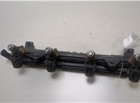  Форсунка топливная Seat Ibiza 4 2008-2015 20431234 #1
