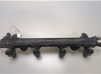 Форсунка топливная Seat Ibiza 4 2008-2015 20431234 #4