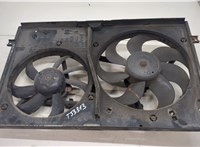  Вентилятор радиатора Skoda Octavia (A5) 2004-2013 20431264 #1