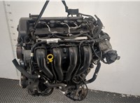  Компрессор кондиционера Ford Focus 2 2005-2008 11411294 #6