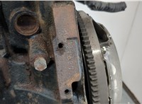  Двигатель (ДВС) Nissan Almera N16 2000-2006 20431978 #12