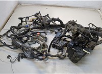  Электропроводка Ford Edge 2015-2018 20431982 #1