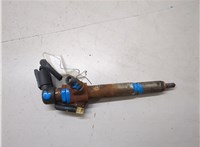 1660000Q0P, 8200294788 Форсунка топливная Nissan Qashqai 2006-2013 20432446 #3