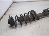  Амортизатор подвески Opel Antara 20433100 #3