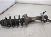  Амортизатор подвески Skoda Octavia Tour 1996-2011 20433223 #1